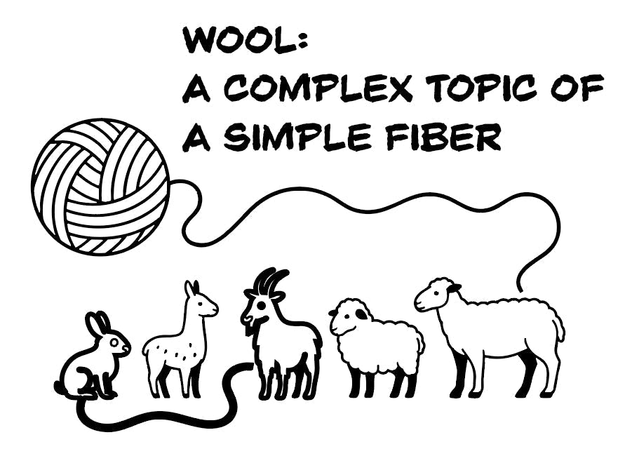 Wool, Unravelled: Fibres, Ethics, and What We Choose to Wear